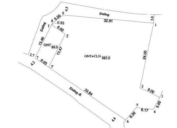 Chính chủ gửi bán lô góc 80m full thổ cư ngõ oto thông