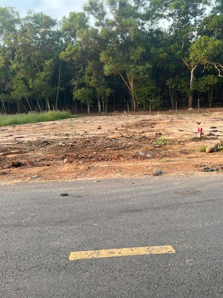 Đất ngay chợ tự phát, chánh phú hòa,bến cát , bình dương