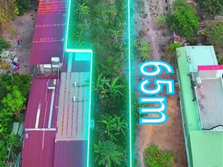 Đất phước hòa diện tích lớn vị trí đẹp