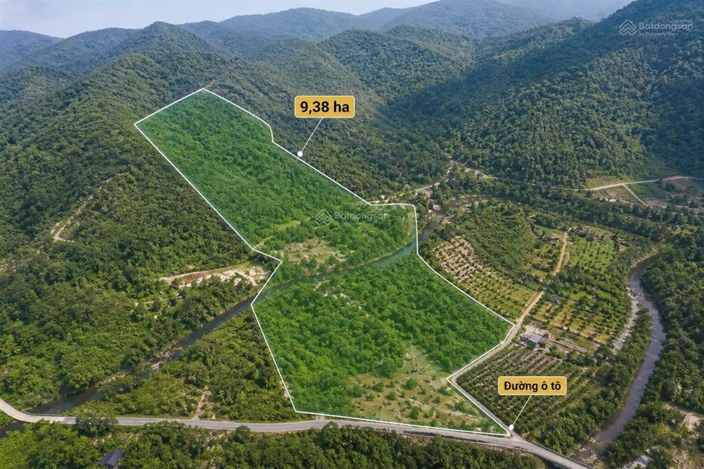 Đất rừng có suối chảy qua, 9ha giá chỉ 15tỷ