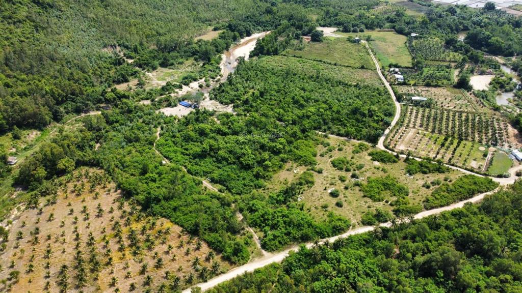 Đất rừng có suối chảy qua, 9ha giá chỉ 15tỷ