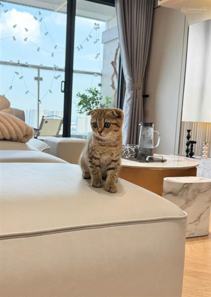 Bán quỹ căn 13pn, dt 5073m2, giá tốt chỉ từ 5 tỷ, pháp lý đầy đủ