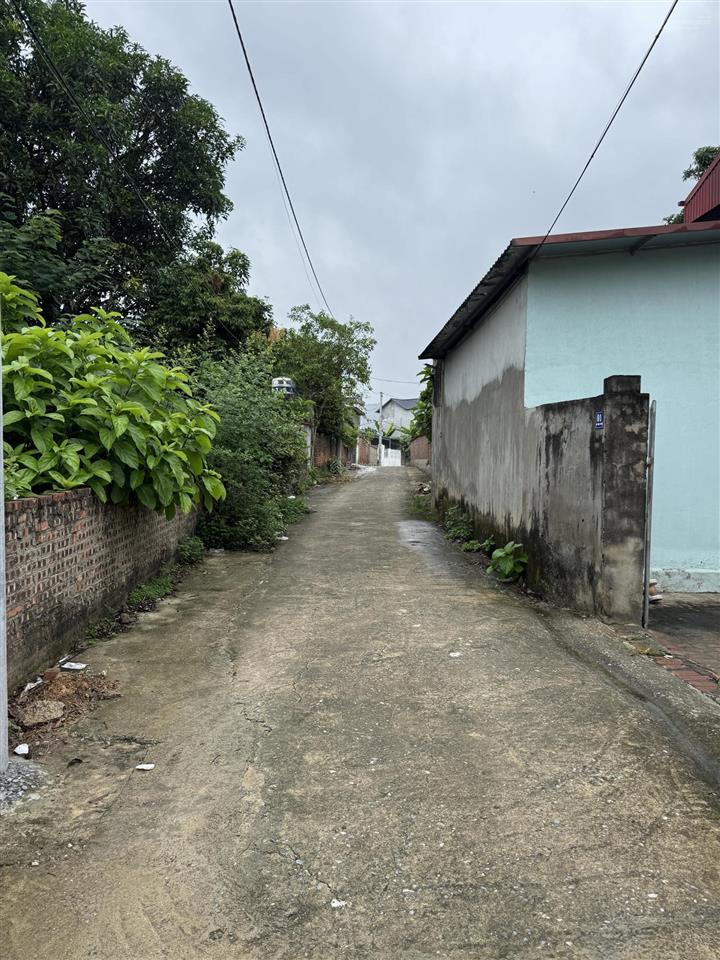 Bán đất phú thịnh  minh phú (cũ) giá hấp dẫn siêu đầu tư