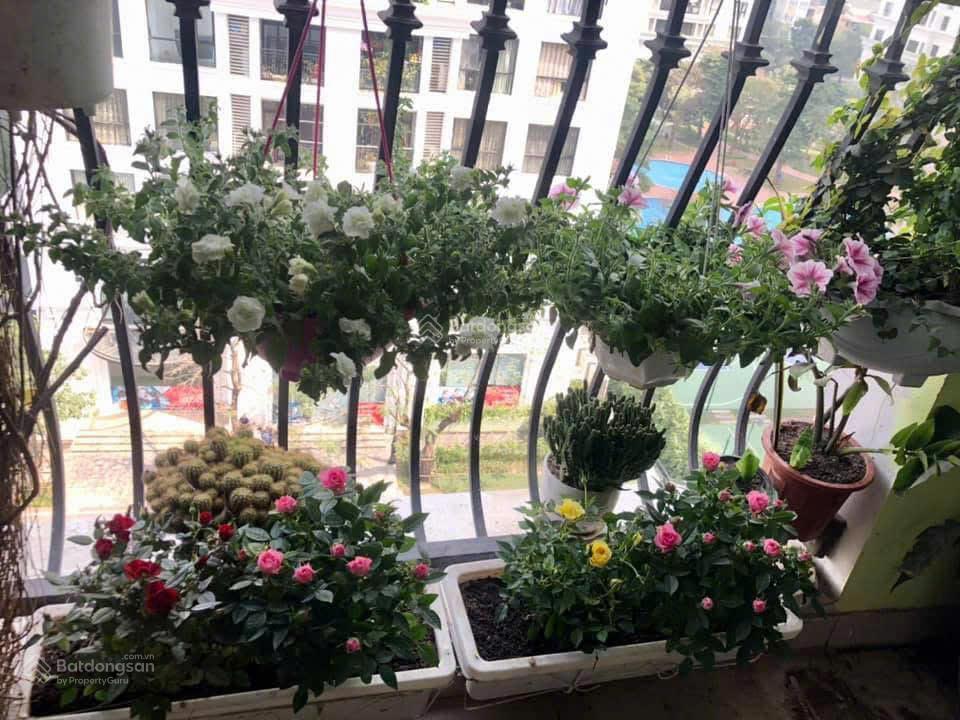 Bán ch royal city, 23 tỷ, 181m2, 3pn, 3wc, giá tốt!