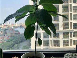 Bán ch royal city, 23 tỷ, 181m2, 3pn, 3wc, giá tốt!
