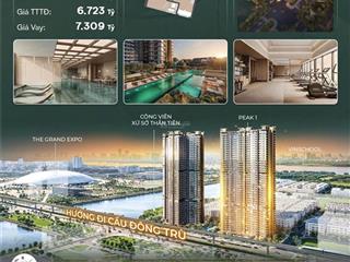 lumiere-essence-peak--can-ho-1pn-tang-cao--view-truong-hoc-anh-sang-tran-ngap-bds29896283