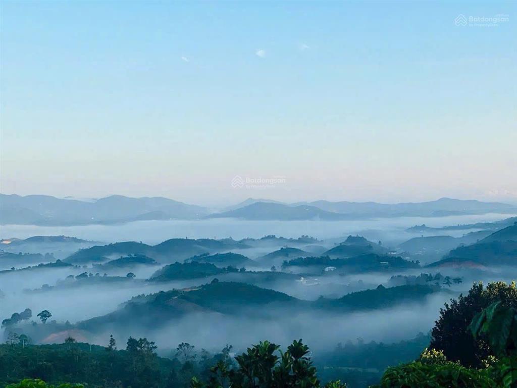 Bán lô đất view săn mây bảo lộc. đã có cư dân hiện hữu, bám suối tự nhiên. tiện ích đầy đủ
