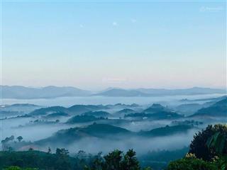 Bán lô đất view săn mây bảo lộc. đã có cư dân hiện hữu, bám suối tự nhiên. tiện ích đầy đủ