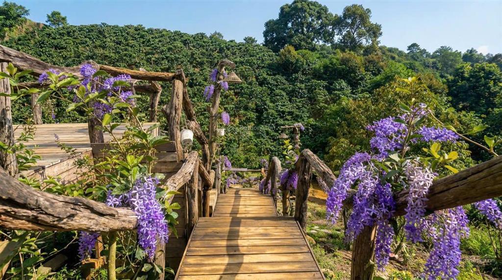 Bán lô đất view săn mây bảo lộc. đã có cư dân hiện hữu, bám suối tự nhiên. tiện ích đầy đủ