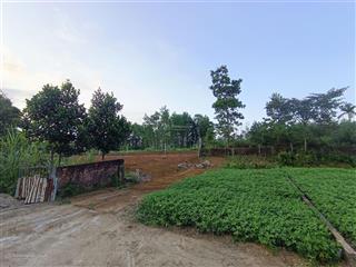 670m2  hiếm  đất nhà vườn hoà phong  hoà vang  đà nẵng