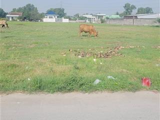 Cần bán nền thổ cư liền kề hàng f0 mới ra lò mặt tiền đường ấp 4 mỹ yên bến lức long an