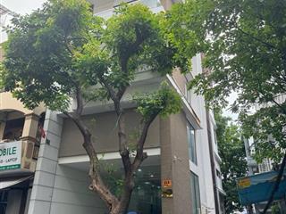 Khan hiếm  nhà đẹp cần bán nhà góc 3 mặt tiền đường hoa cau p7 phú nhuận.dt6,5x18m giá 49 tỷ.