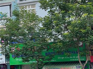 Hot!rẻ nhất khu vực! chủ cần bán nha đường nguyễn cư trinh p.bến thành quận 1.dt5,3x12m giá 37 tỷ.