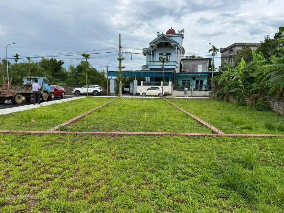 Trục chính liên xã. vị trí đẹp hòa lạc hiện nay để có thể xây trọ, chung cư mini