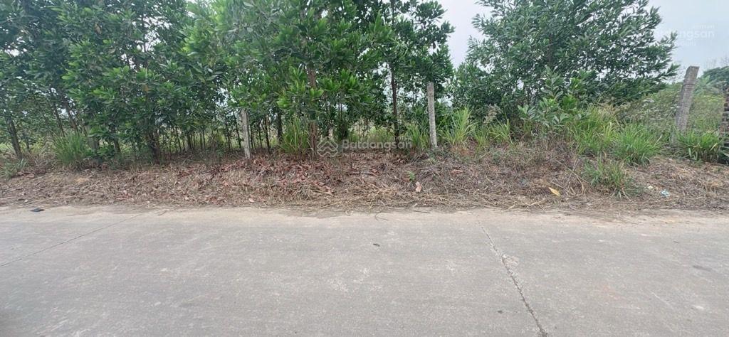 Bán đất tại bắc sơn, sóc sơn, hà nội 6,95 tỷ, 1316 m2 chính chủ