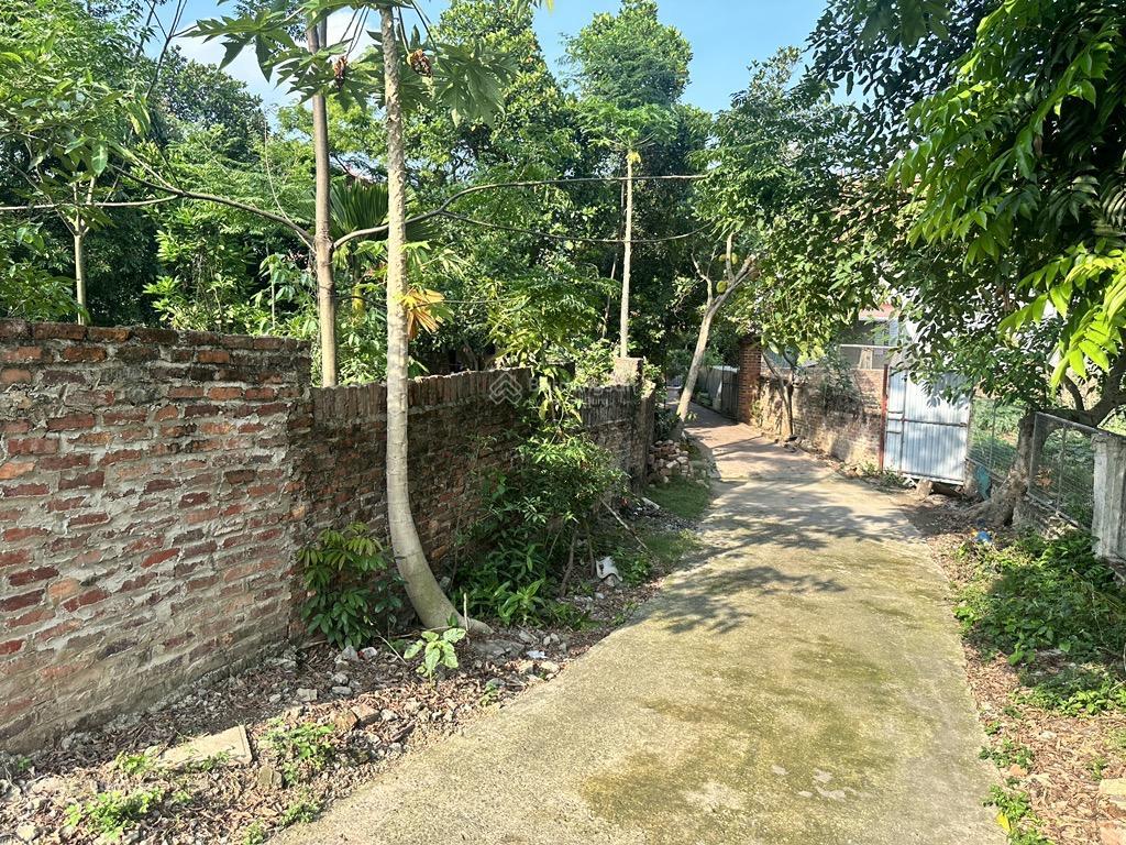 Bán đất tại xã minh phú, sóc sơn, hà nội, 6,7 tỷ, 652m2, giá ưu đãi đẹp