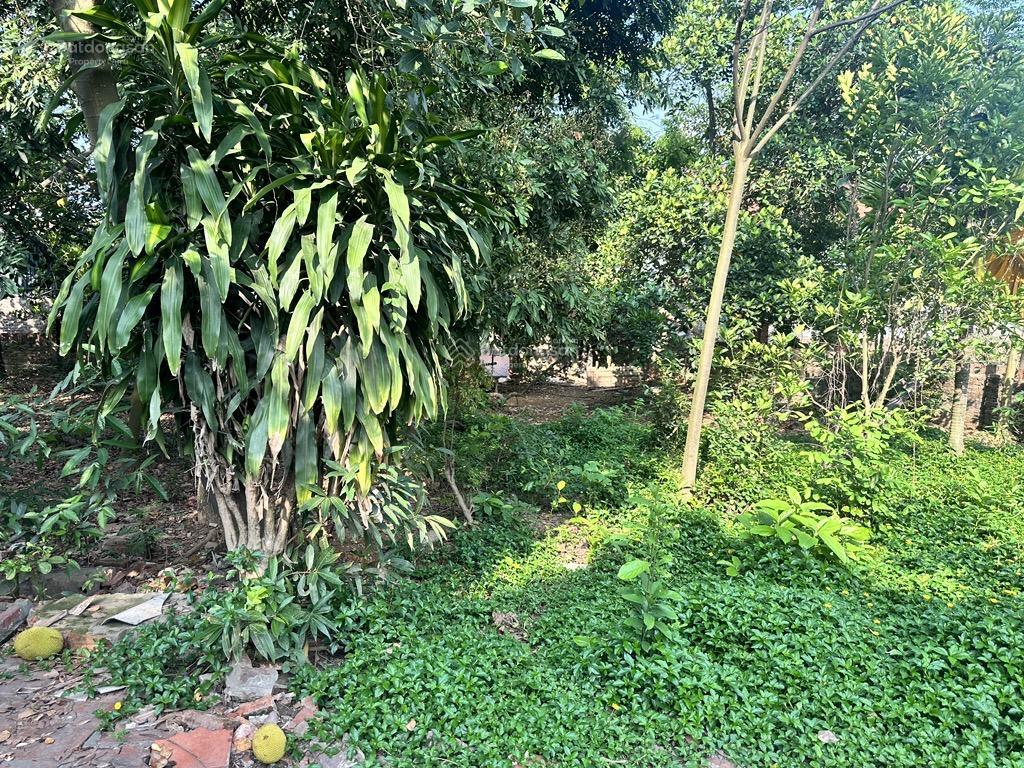 Bán đất tại xã minh phú, sóc sơn, hà nội, 6,7 tỷ, 652m2, giá ưu đãi đẹp