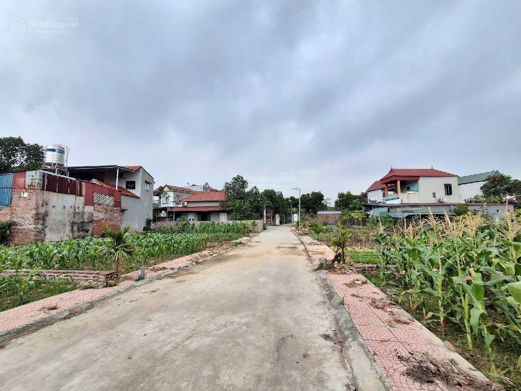 Bán đất tại xã minh phú, sóc sơn, hà nội, 2,26 tỷ, 87,5 m2, giá ưu đãi uy tín