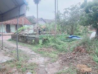 Bán nhà riêng tại bắc sơn, sóc sơn, hà nội, giá siêu hời 5,6 tỷ, 748m2