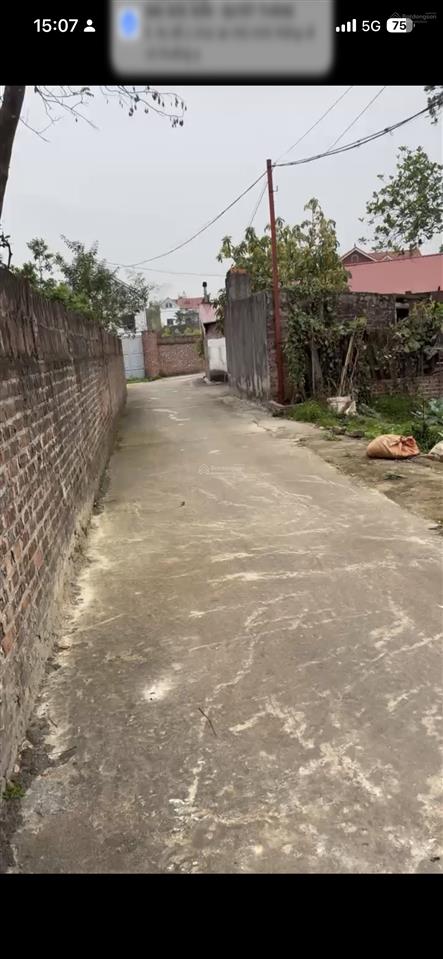 Bán đất tại xã trung giã, huyện sóc sơn, hà nội, 2,2 tỷ, 124m2 giá cực chất