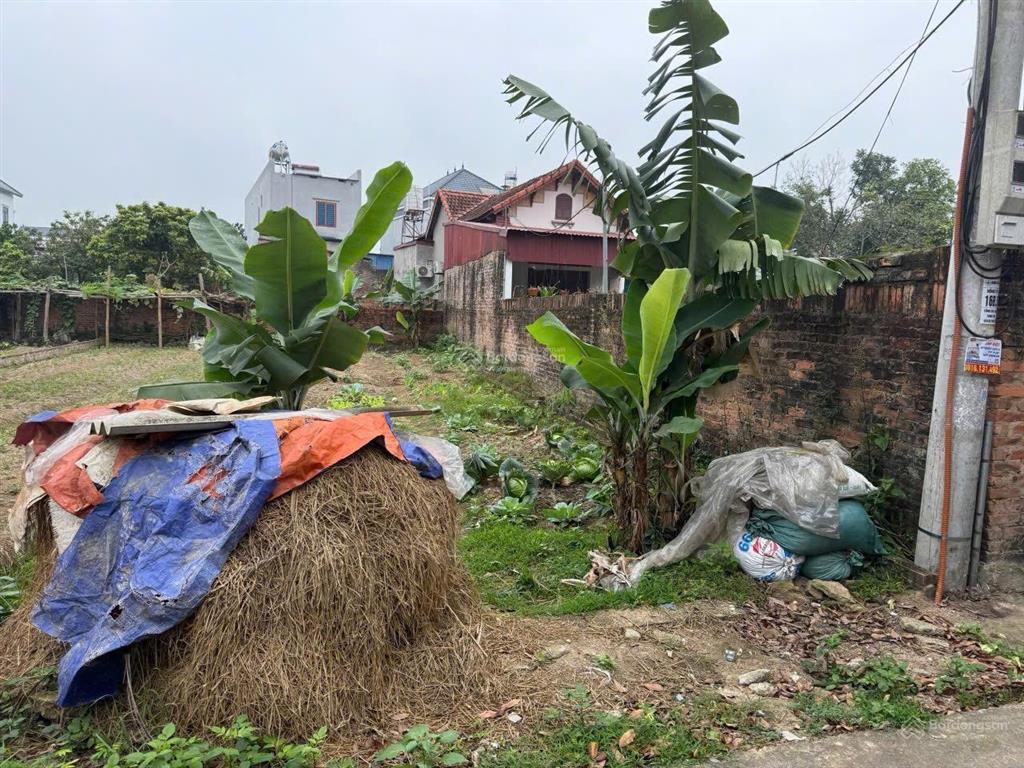 Bán đất tại xã trung giã, huyện sóc sơn, hà nội, 2,2 tỷ, 124m2 giá cực chất