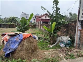 Bán đất tại xã trung giã, huyện sóc sơn, hà nội, 2,2 tỷ, 124m2 giá cực chất