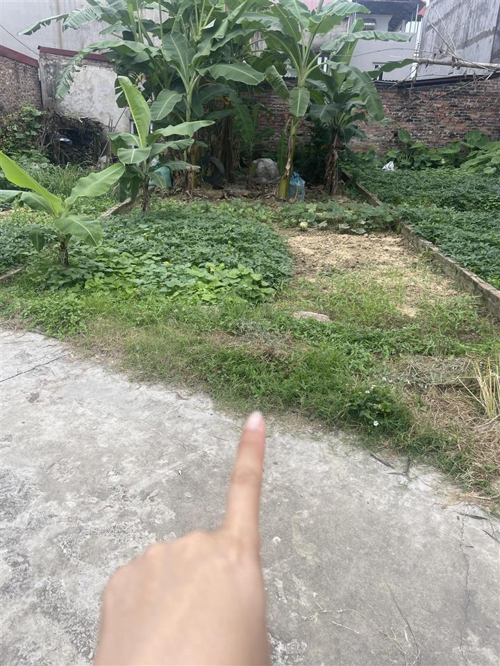 Bán đất 60m2 tại xã bắc phú, huyện sóc sơn, hà nội, giá tốt 1,69 tỷ