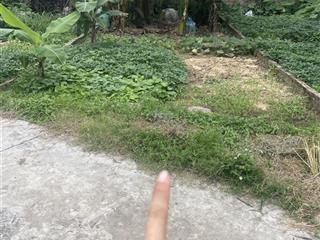 Bán đất 60m2 tại xã bắc phú, huyện sóc sơn, hà nội, giá tốt 1,69 tỷ