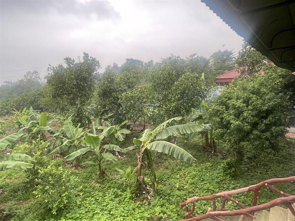 Bán trang trại, khu nghỉ dưỡng ở bắc sơn, sóc sơn, hà nội, giá siêu hời 60 tỷ, 10900 m²