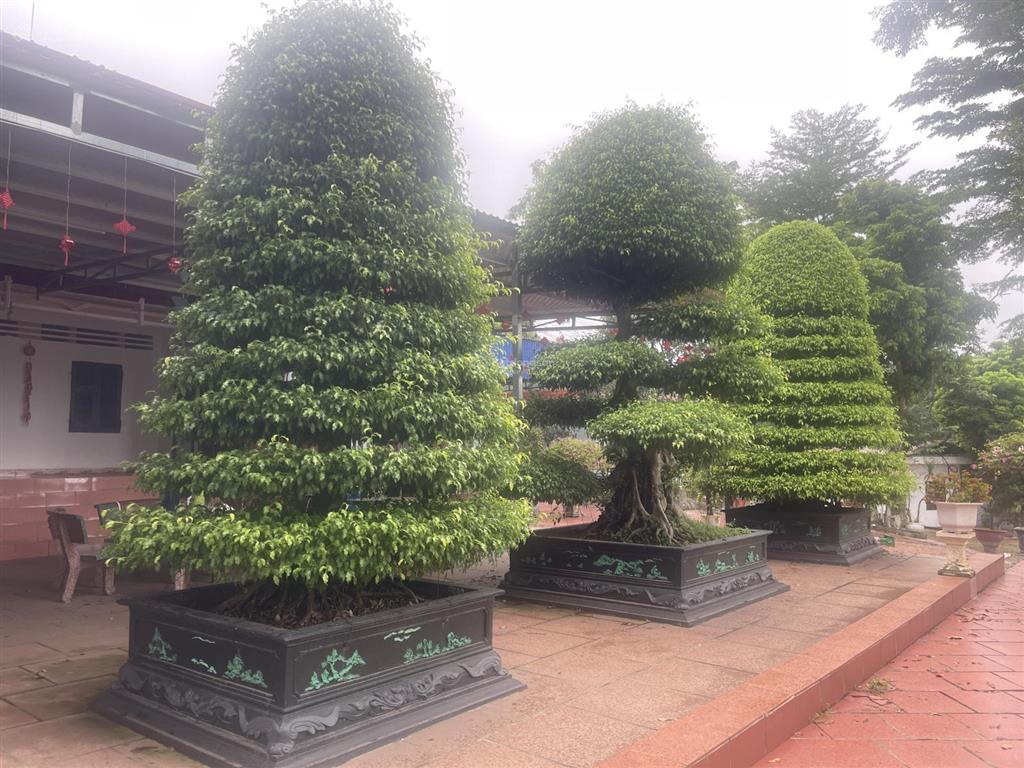 Bán trang trại, khu nghỉ dưỡng ở bắc sơn, sóc sơn, hà nội, giá siêu hời 60 tỷ, 10900 m²