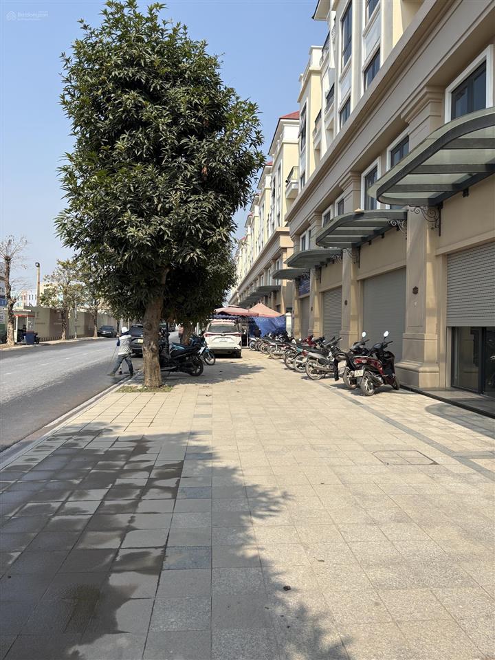 Shop trục khách khổng lồ cạnh 15 tòa 27 tầng (~40k cư dân), san hô 24 120m², giá 25,9 tỷ