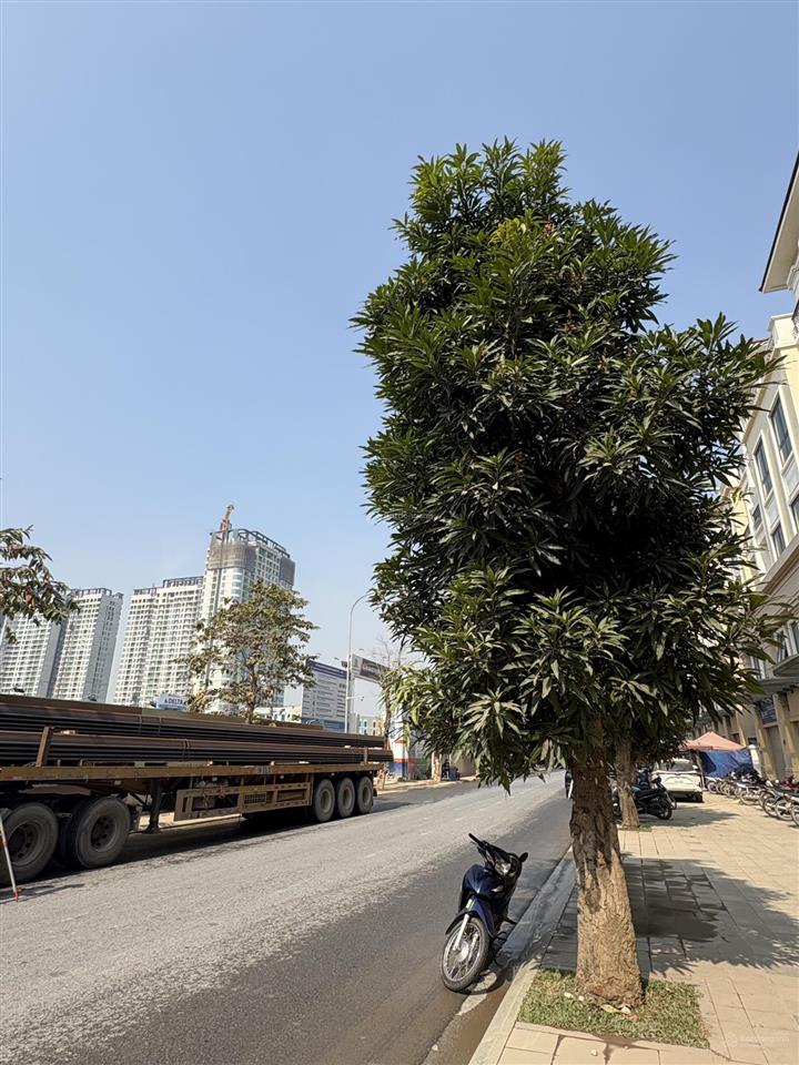 Shop trục khách khổng lồ cạnh 15 tòa 27 tầng (~40k cư dân), san hô 24 120m², giá 25,9 tỷ