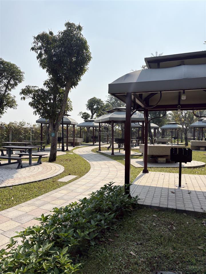 Shop trục khách khổng lồ cạnh 15 tòa 27 tầng (~40k cư dân), san hô 24 120m², giá 25,9 tỷ