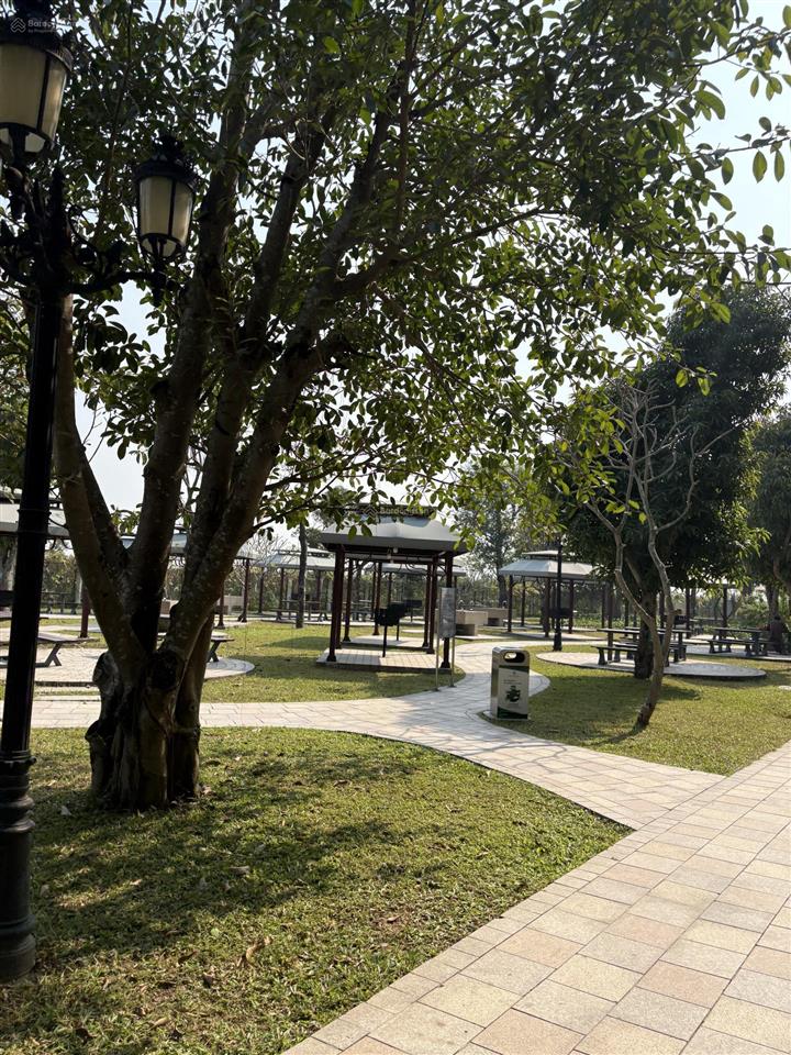 Shop trục khách khổng lồ cạnh 15 tòa 27 tầng (~40k cư dân), san hô 24 120m², giá 25,9 tỷ