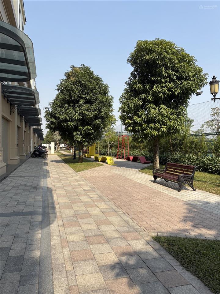 Cạnh chung cư là có khách shophouse san hô 24 sát 15 tòa, 120m² mt 6m, giảm 5,1 tỷ