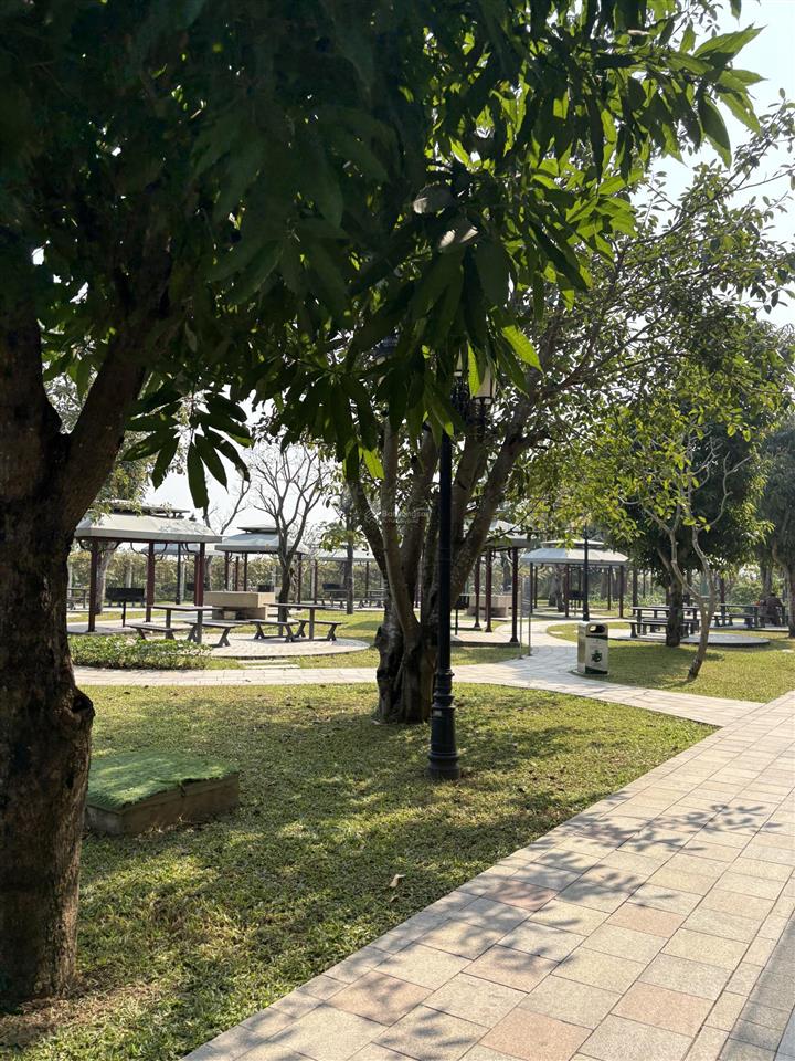 Cạnh chung cư là có khách shophouse san hô 24 sát 15 tòa, 120m² mt 6m, giảm 5,1 tỷ