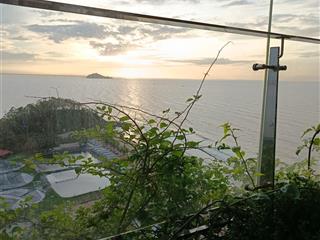 Bán gấp shophouse 96m2 giá ưu đãi 5,387 tỷ tại flamingo hải tiến, thanh hóa