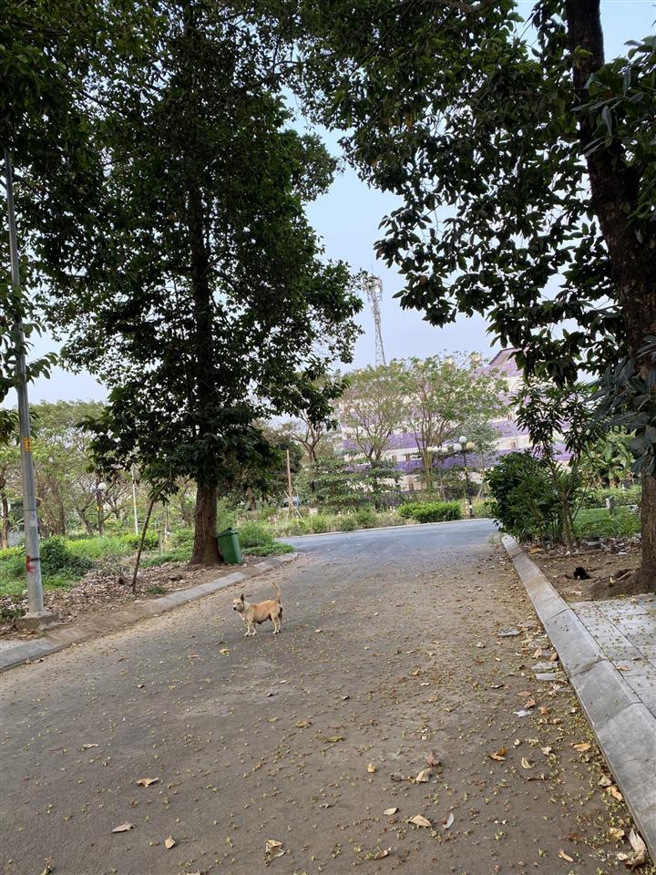 9.4 tỷ  biệt thự 175m2 full thổ  4 tầng  ngang 7m  p. trường thạnh  thiện chí tl