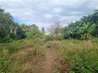 Bán đất nông nghiệp mặt tiền đường ven sông đồng nai, quận 9