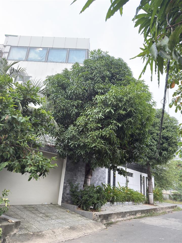 Biệt thự thạnh xuân 3 mặt tiền, hồ koi nhật, 4 tầng + hầm, thang máy, 7pn giảm 5 tỷ còn 40 tỷ