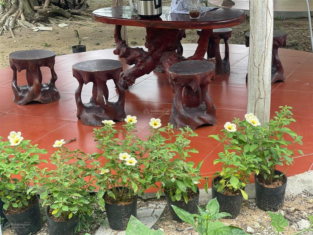 Chính chủ cần bán đất giá siêu tốt tại đại phước, nhơn trạch, đồng nai, 34,5 tỷ, 19,758m2