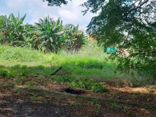 Bán nhanh lô đất kdc nam long 2  cần đước dt 64m2 giá 900 triệu, shr 0931 778 ***