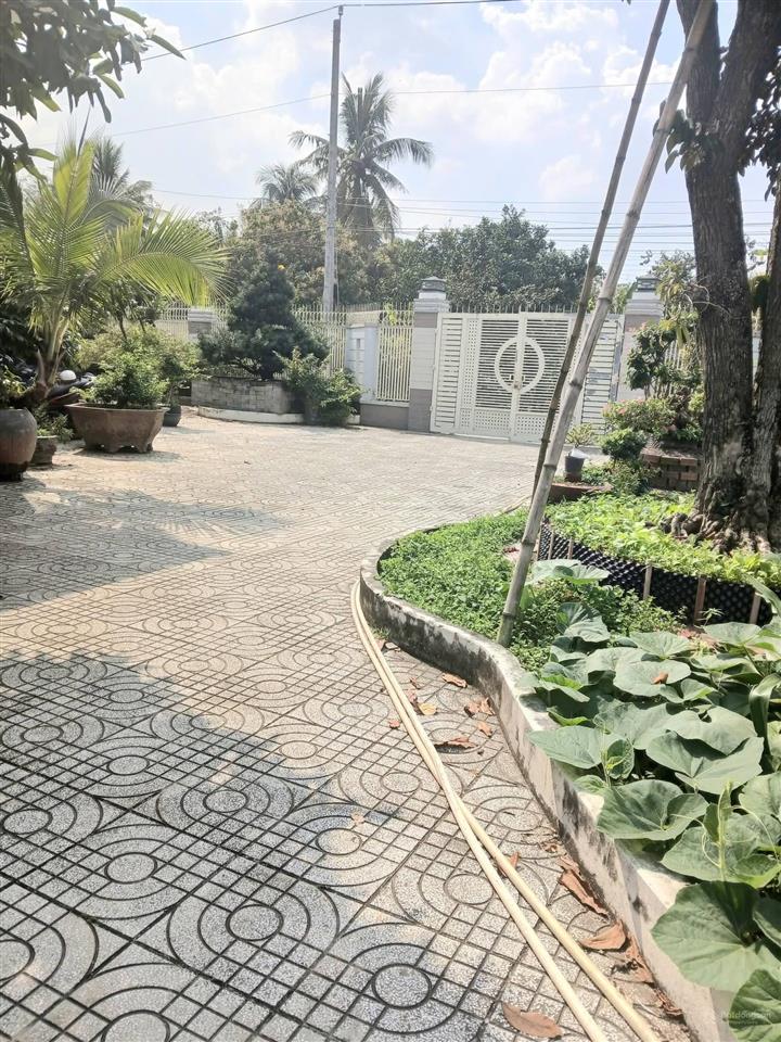 Chủ ngộp bán gấp nhà thái vườn nghỉ dưỡng bến lức 943m2, 8 tỷ, shr 0931 778 ***