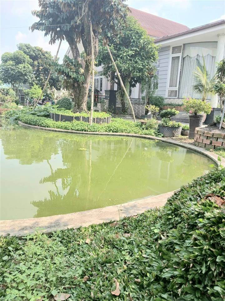 Chủ ngộp bán gấp nhà thái vườn nghỉ dưỡng bến lức 943m2, 8 tỷ, shr 0931 778 ***