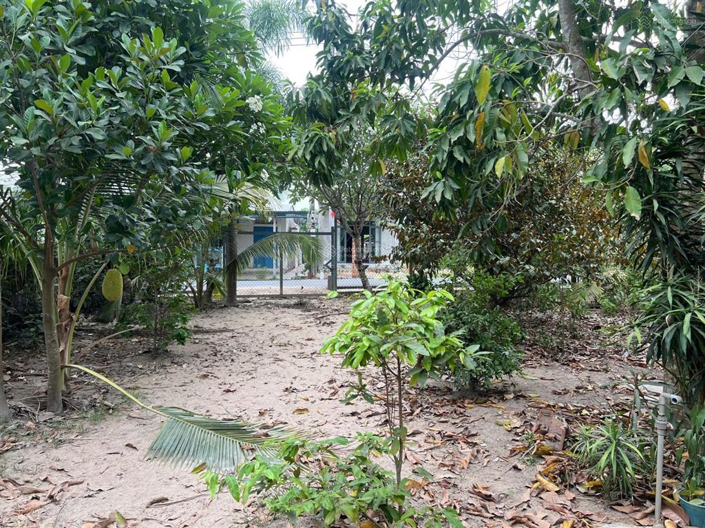 Bán đất giá đầu tư diên tân, diên khánh, khánh hoà