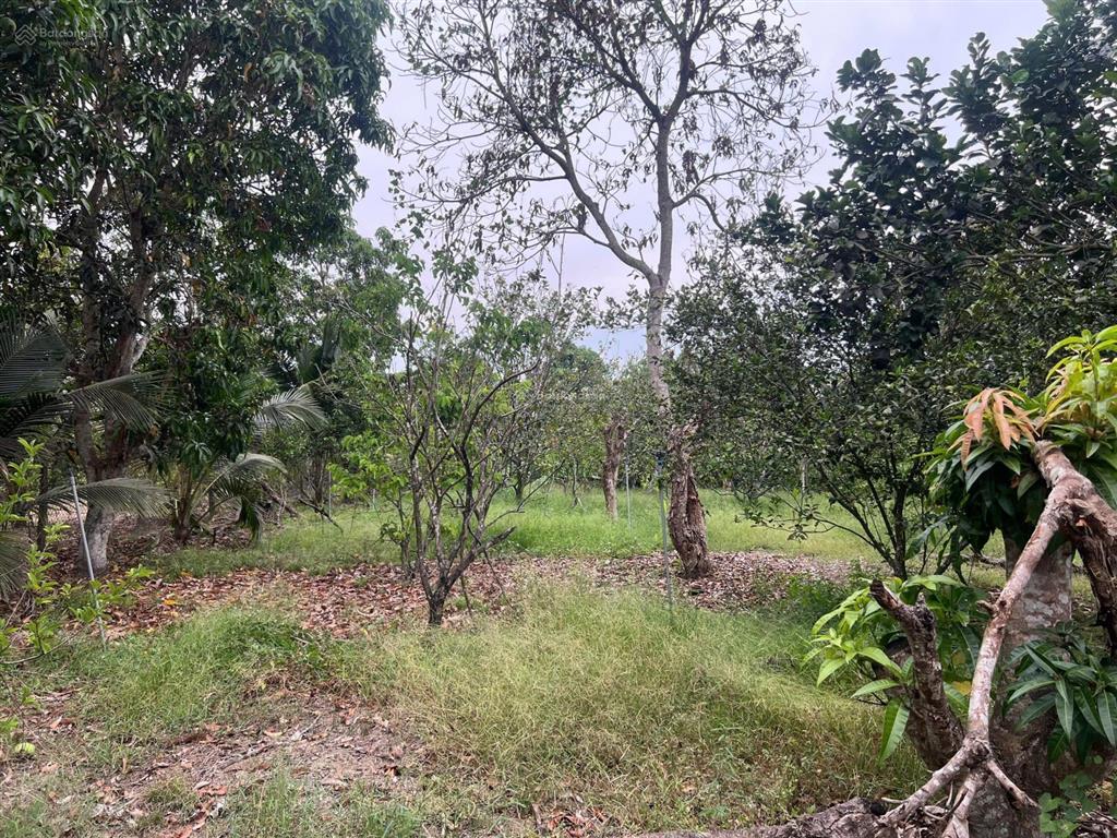 Bán đất giá đầu tư diên tân, diên khánh, khánh hoà
