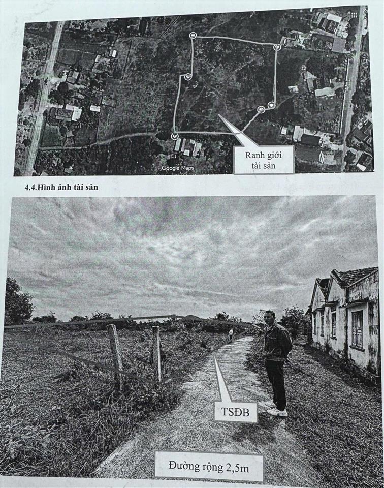 Bán đất tại xã ninh tân, 4,7 tỷ, 4162 m2