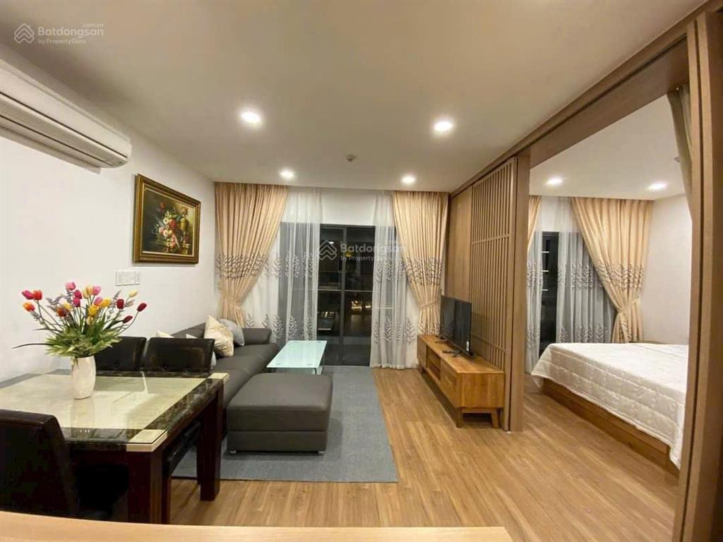 Bán căn hộ republic plaza 18e cộng hòa tân bình 54m2, 1pn, giá 2,98 tỷ. đang cho thuê ổn định