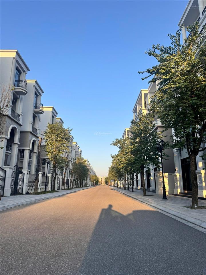 Siêu hot, chính thức nhận booking mở bán phân khu vịnh xanh với chính sách bom tấn  giá sock