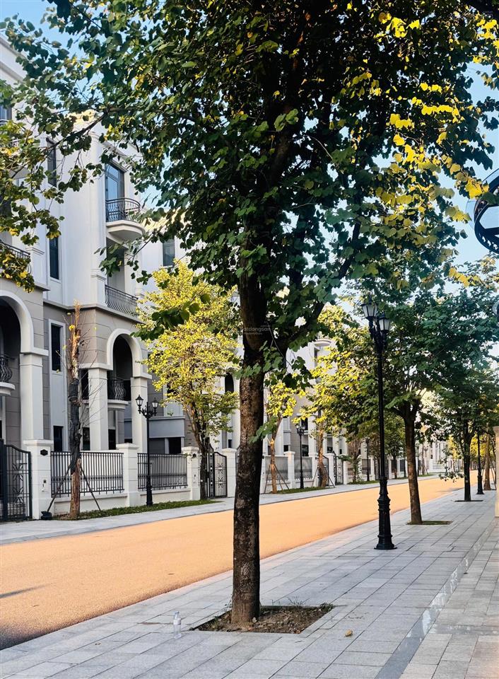 Siêu hot, chính thức nhận booking mở bán phân khu vịnh xanh với chính sách bom tấn  giá sock